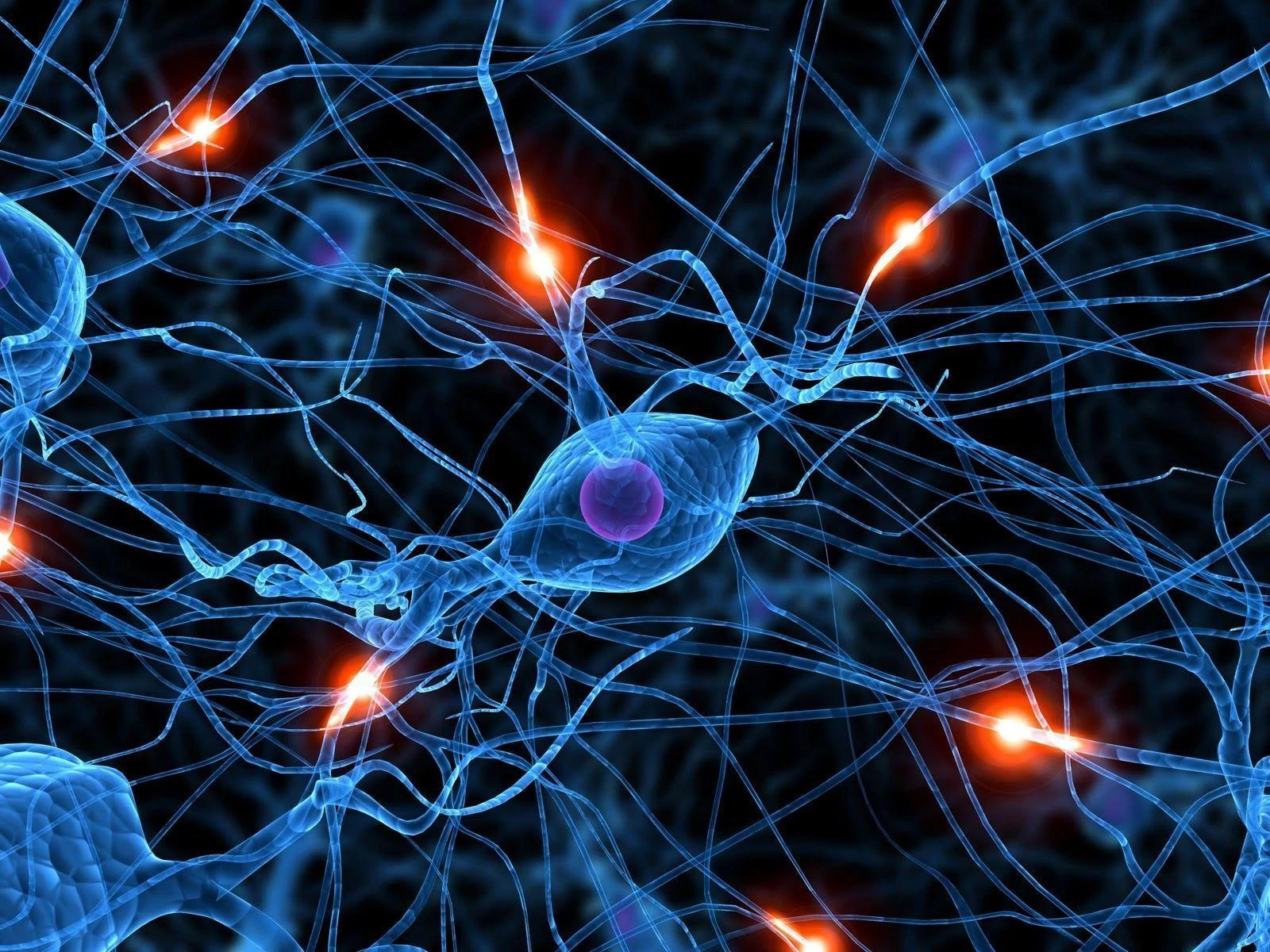 Illustration of nerve cells and nerve signaling